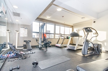 12 Stoneholm St, Fenway