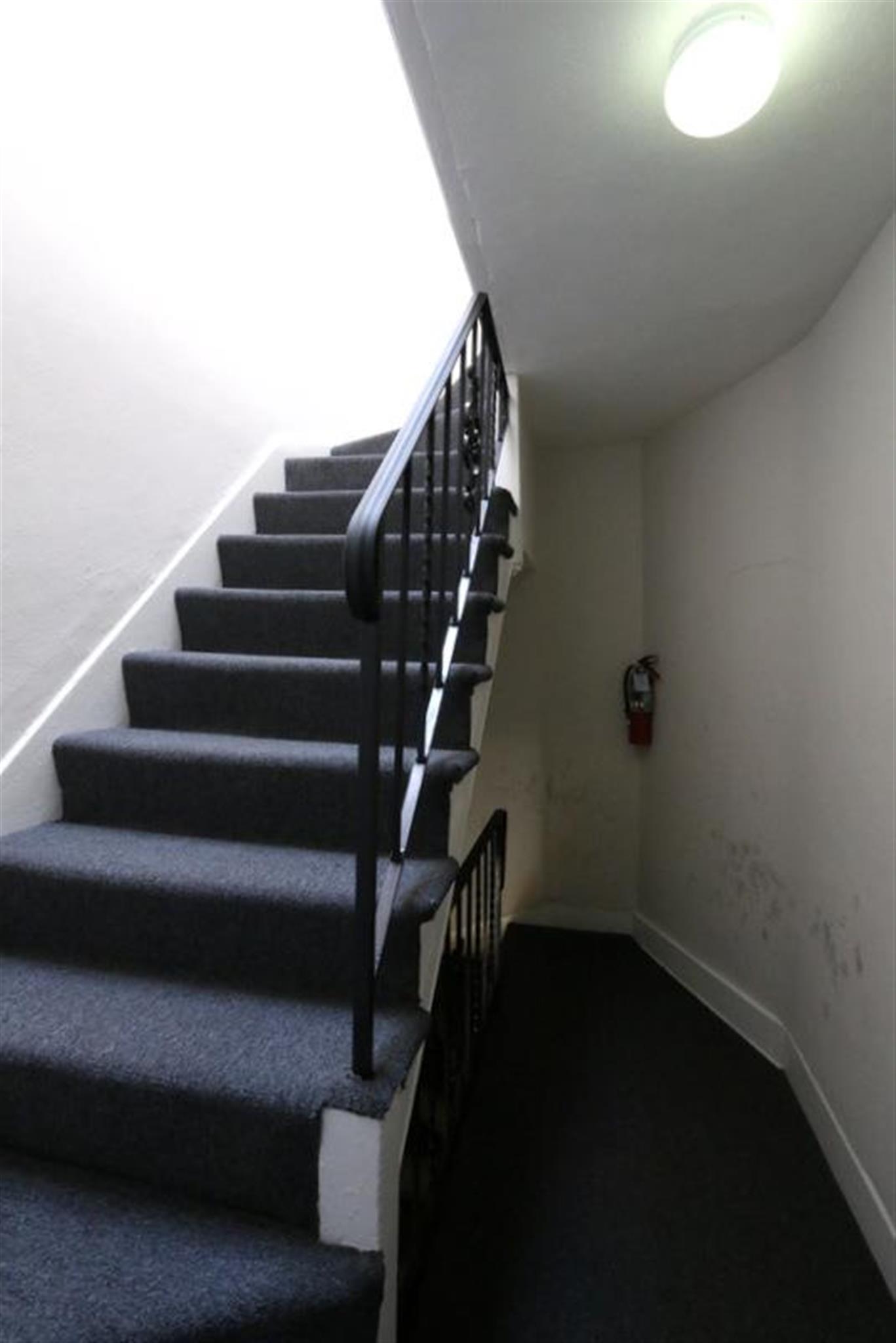 25 Elmer St, Riverside