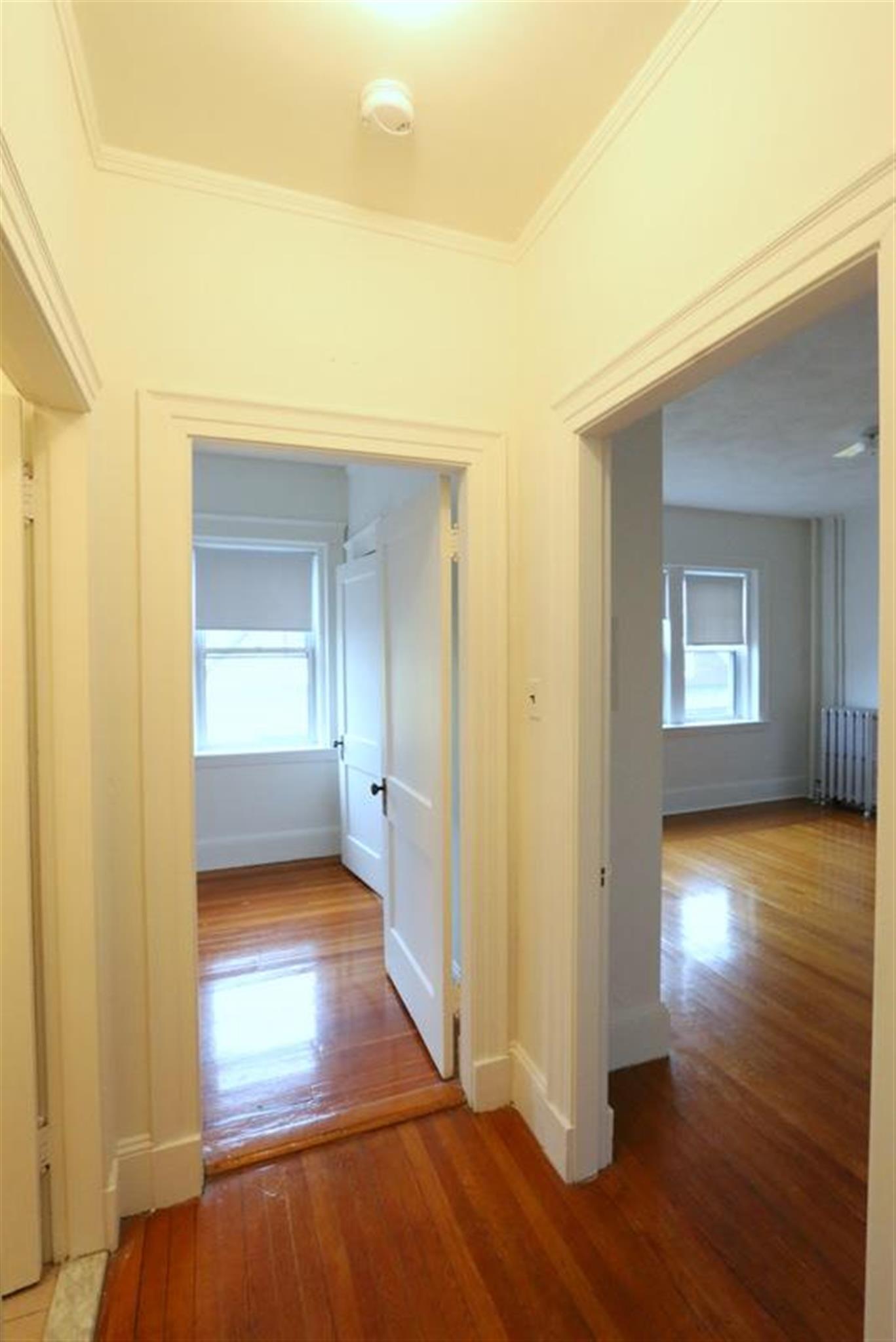 163 Summer, Spring Hill