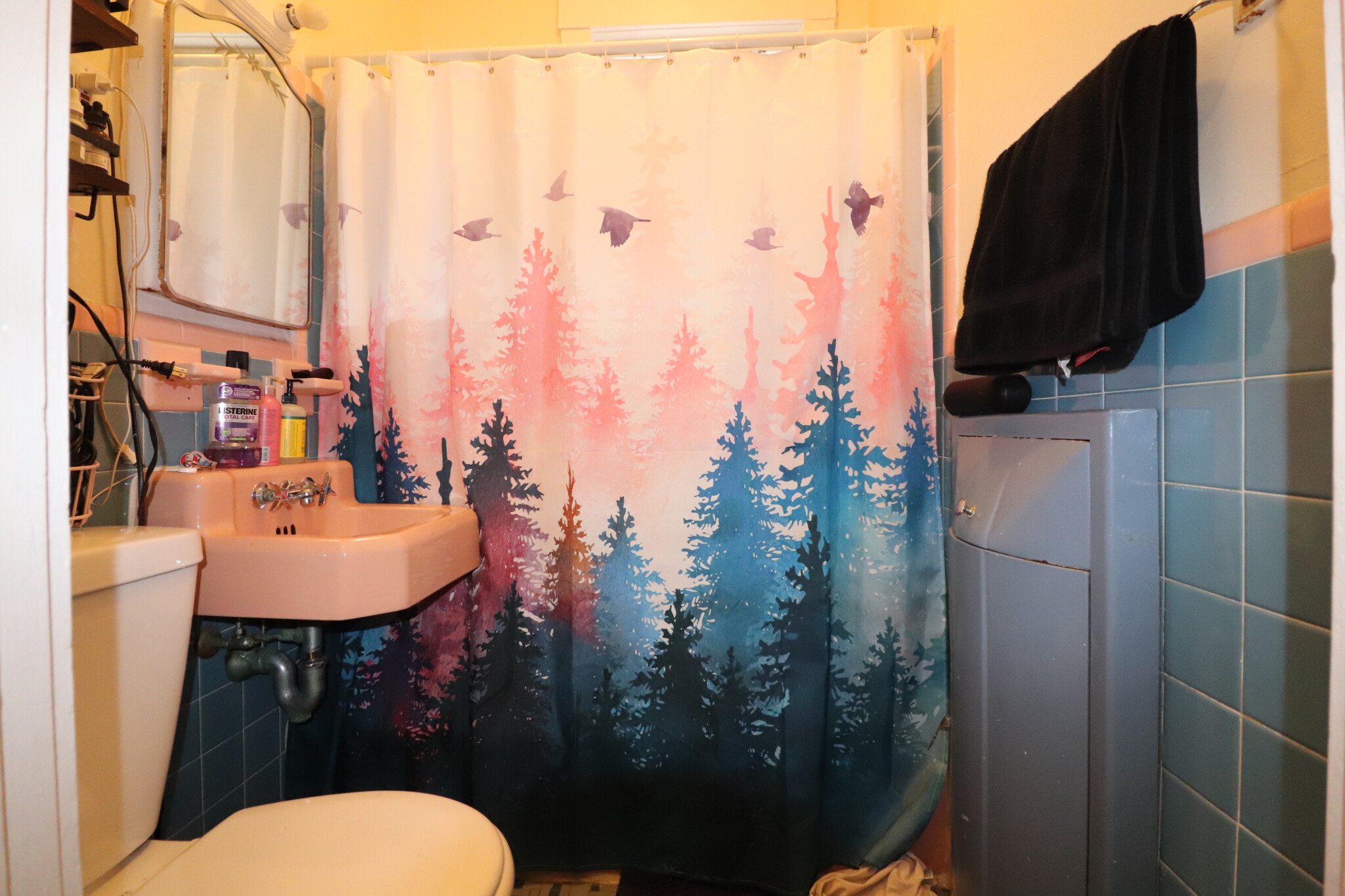 122 Babcock St, Coolidge Corner