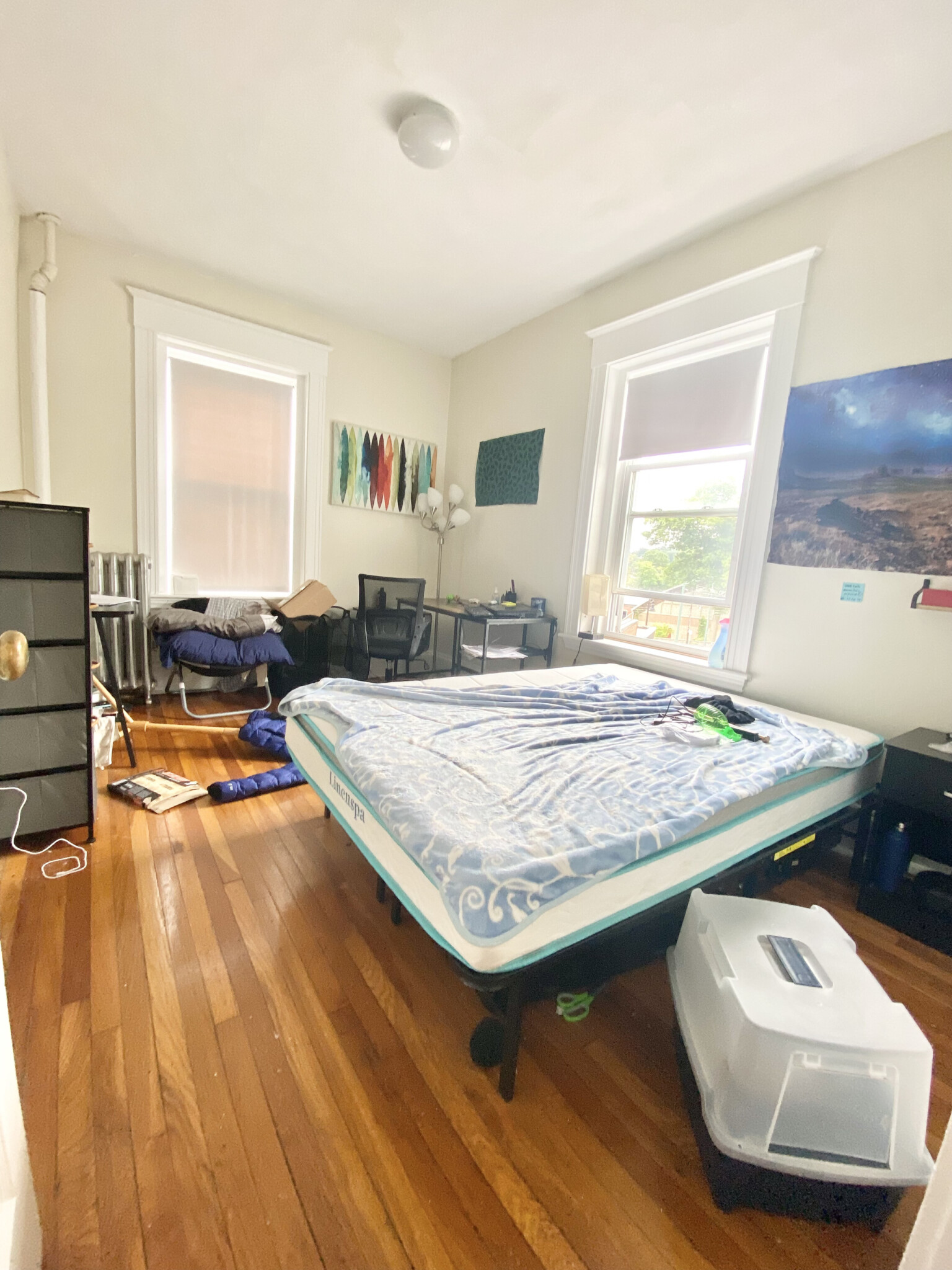 123 Sutherland Rd, Brighton