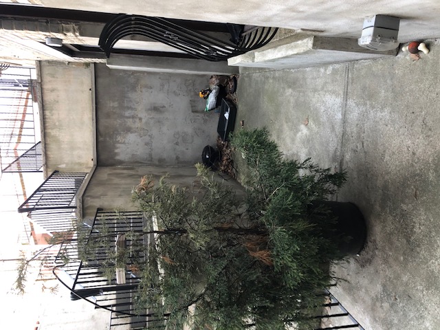 352 Riverway, Mission Hill