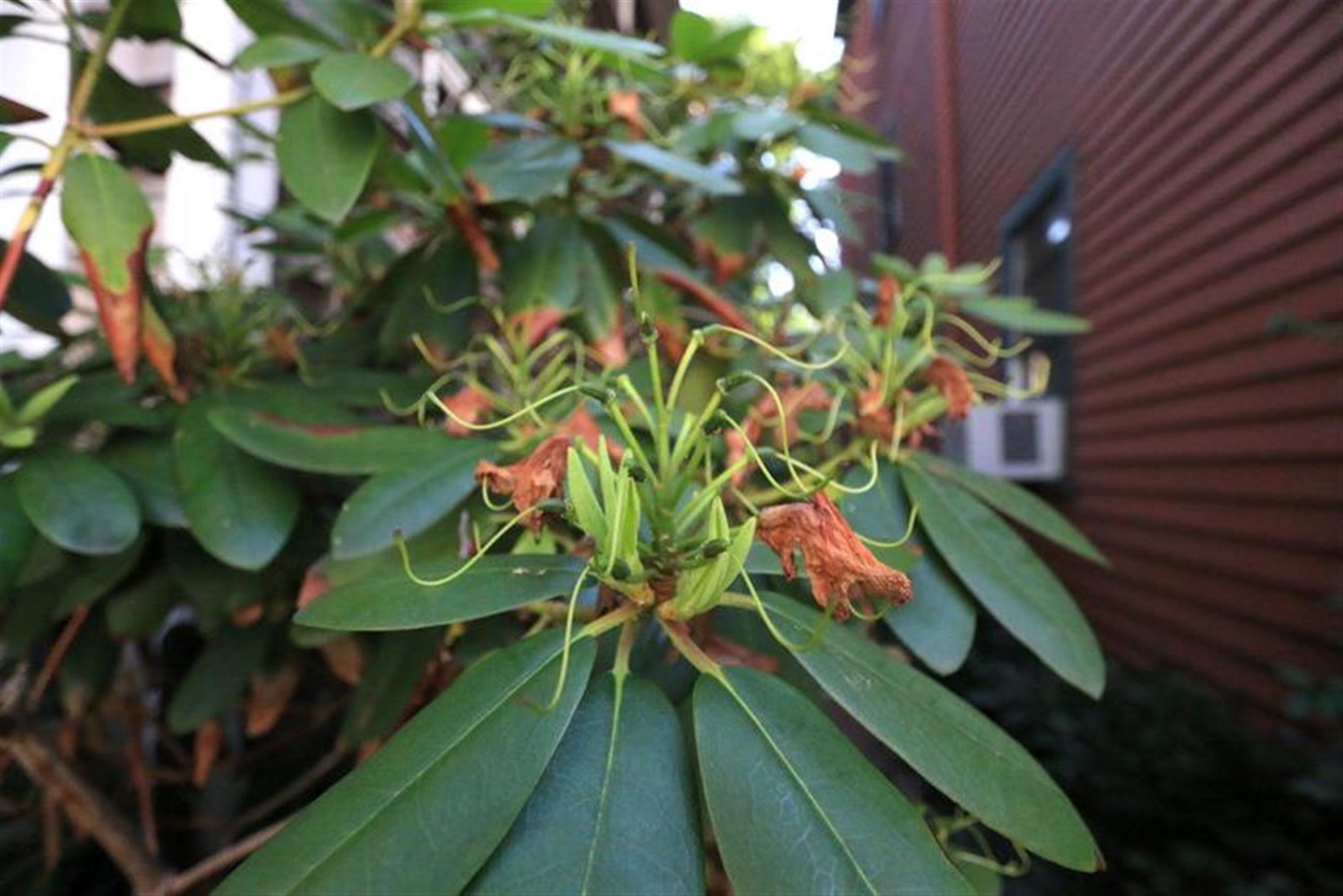 400 Franklin St, Central Square