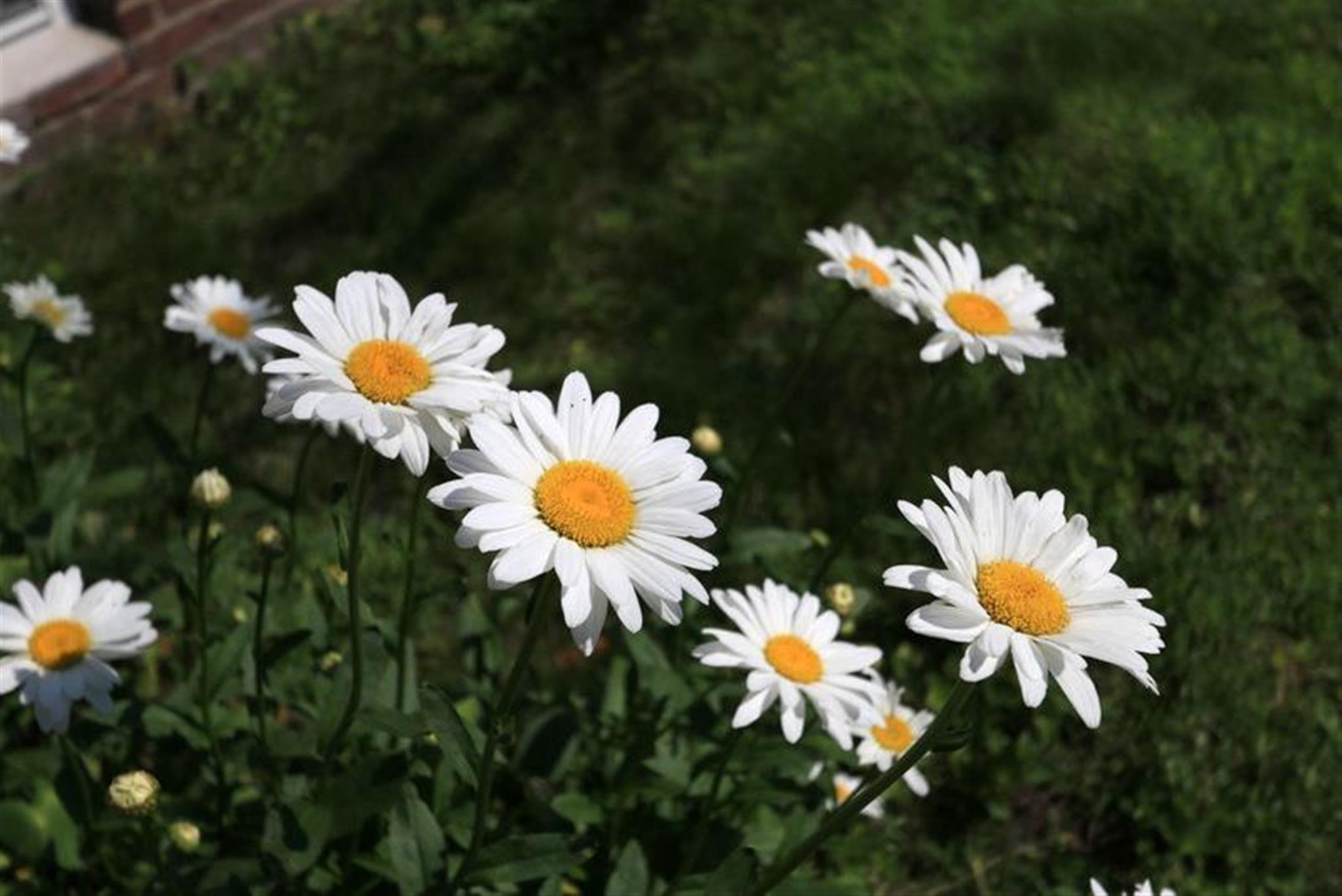 128 Pine St, Central Square