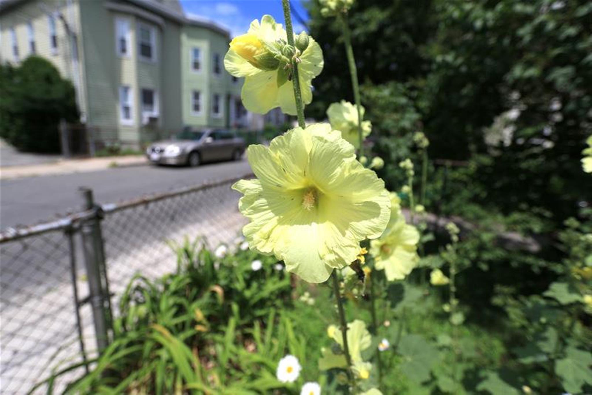 124 Pine St, Central Square