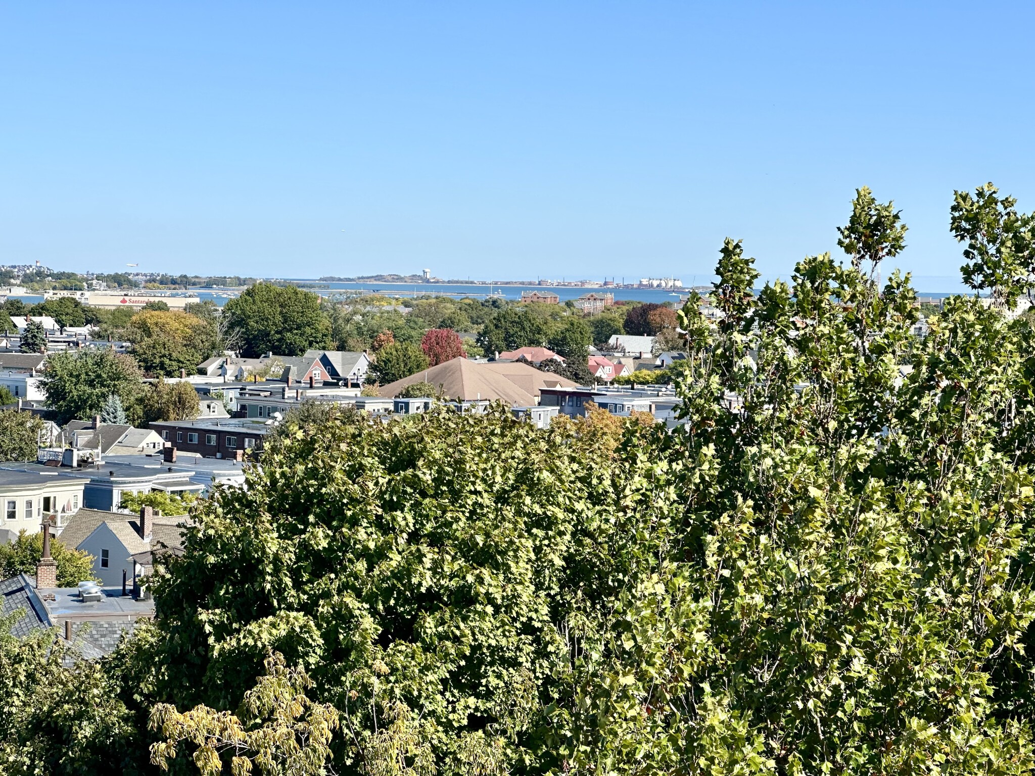 25 Peverell, Dorchester