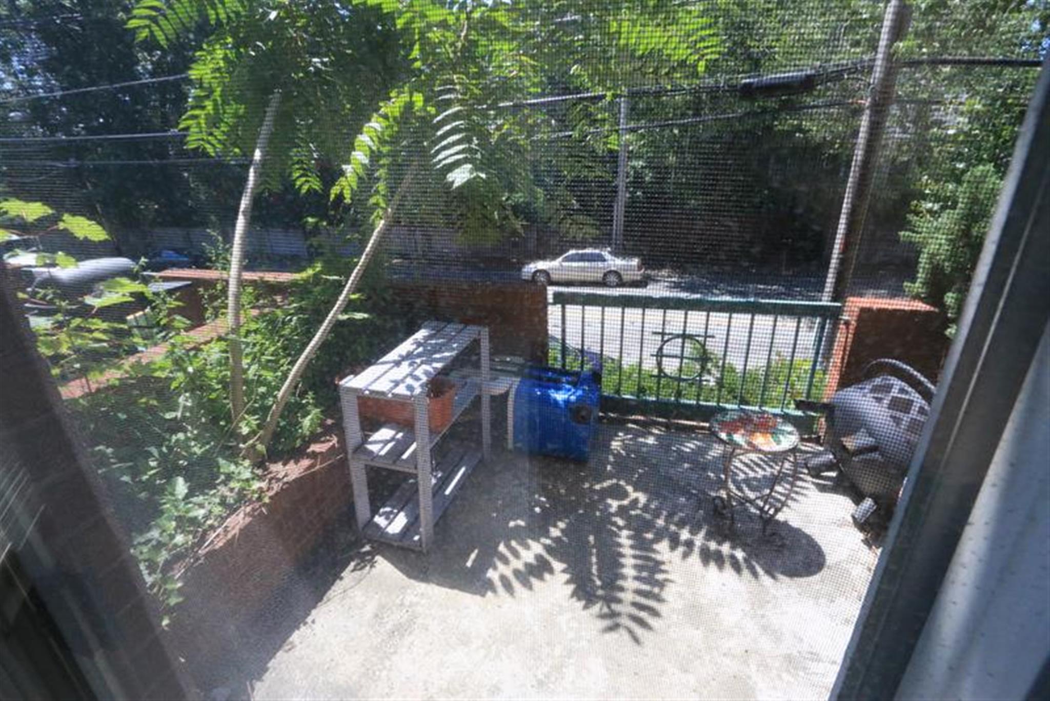 175 Beacon St, Ball Square