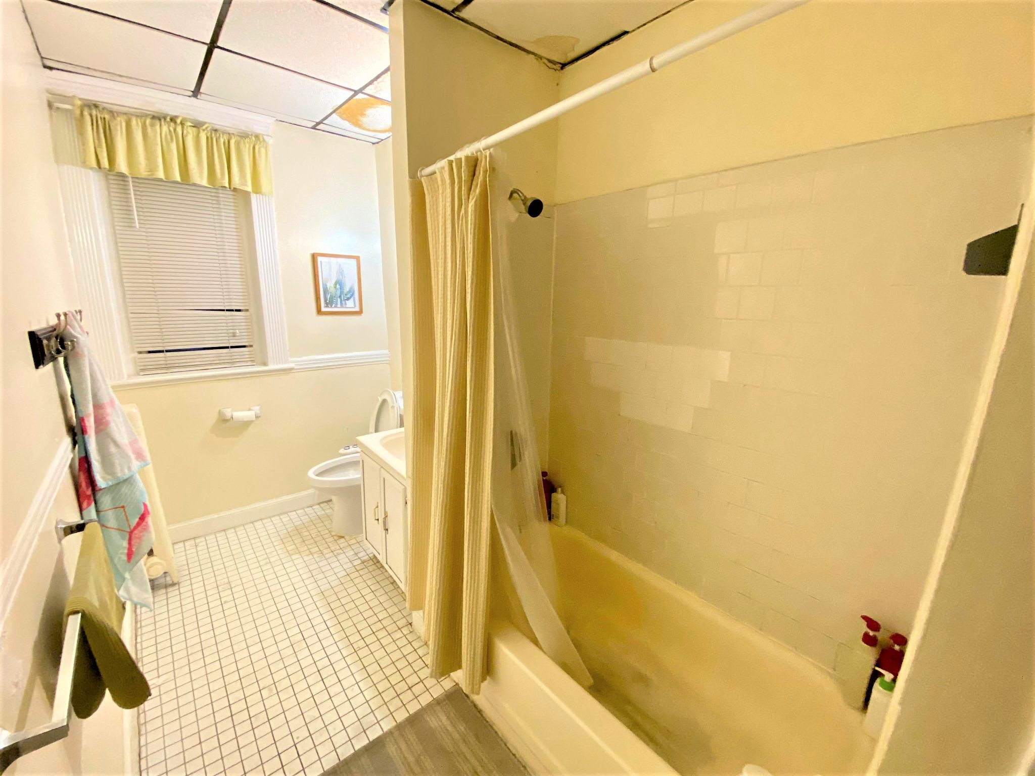 447 Park Dr, Mission Hill