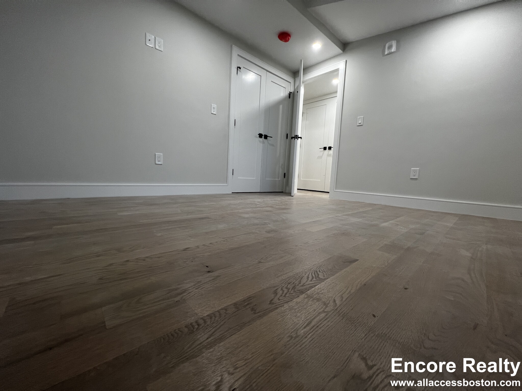 13 Greylock Rd, Brighton