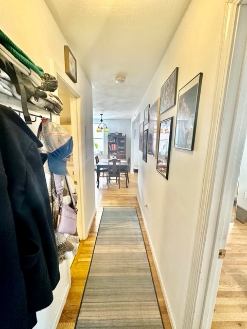 10 Harris St, North End