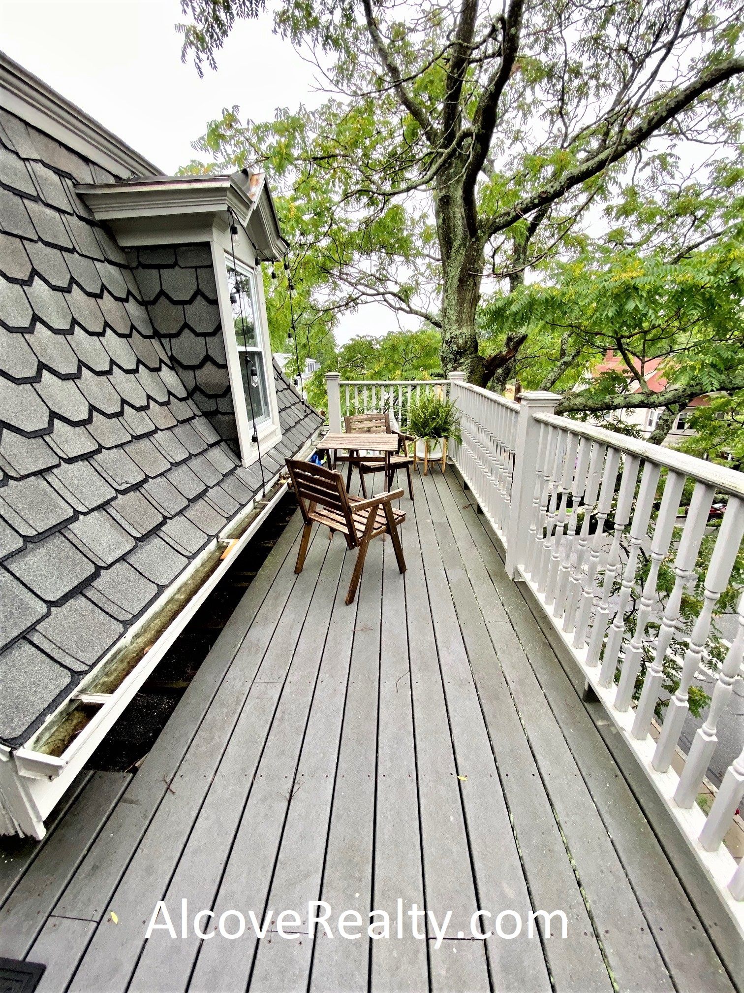 1 Mead St, Davis Square