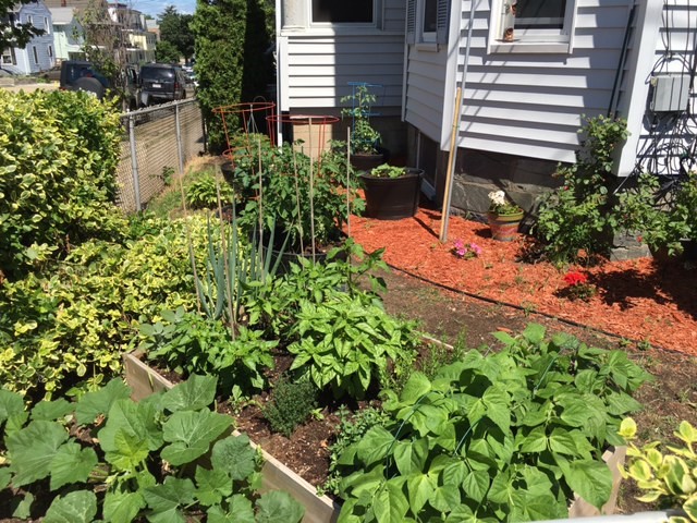 604 Main St, Medford