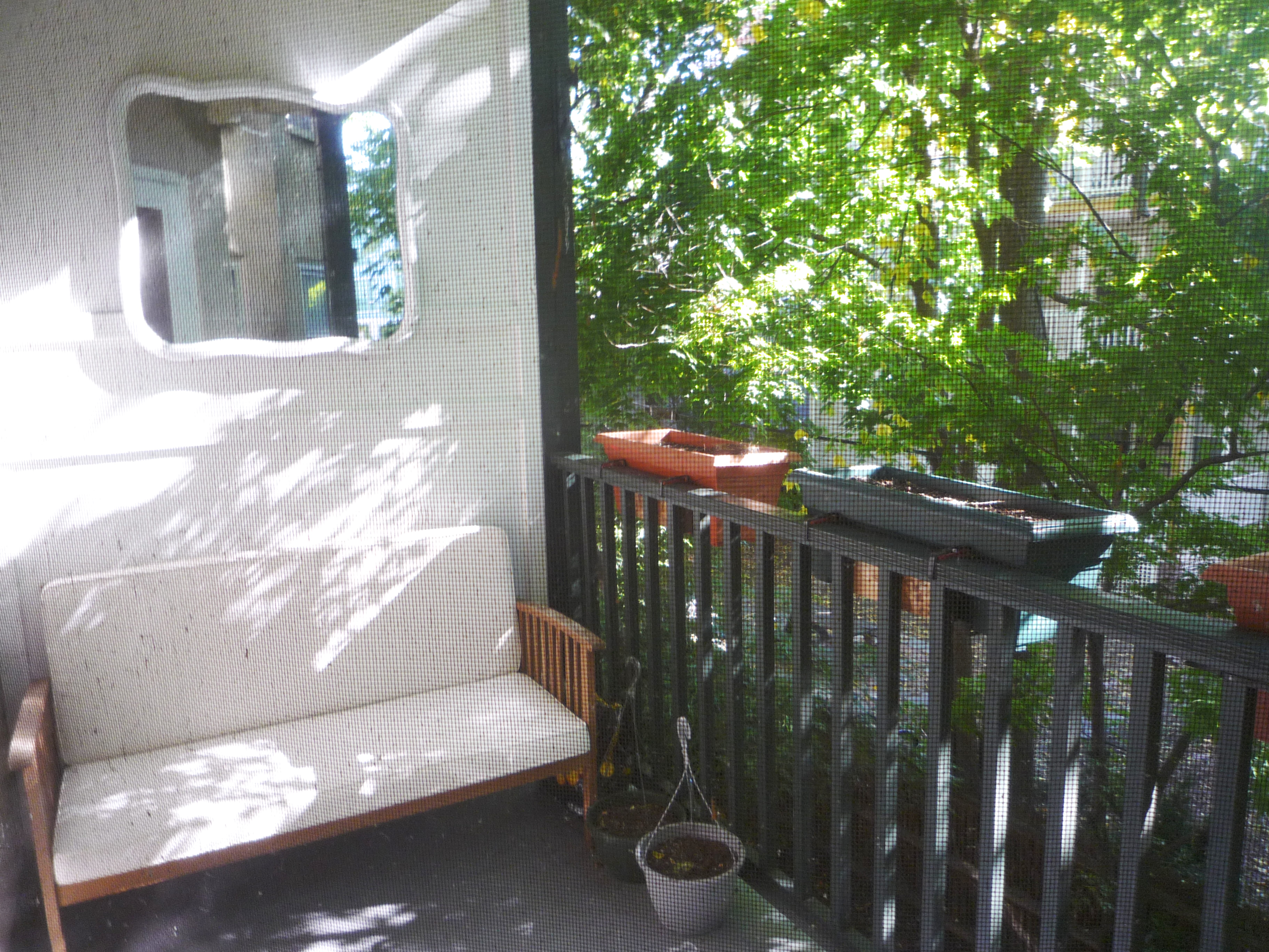 12 Remington St, Harvard Square