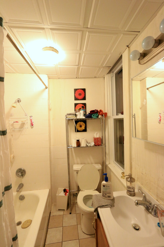 117 Harvard St, Kendall Square