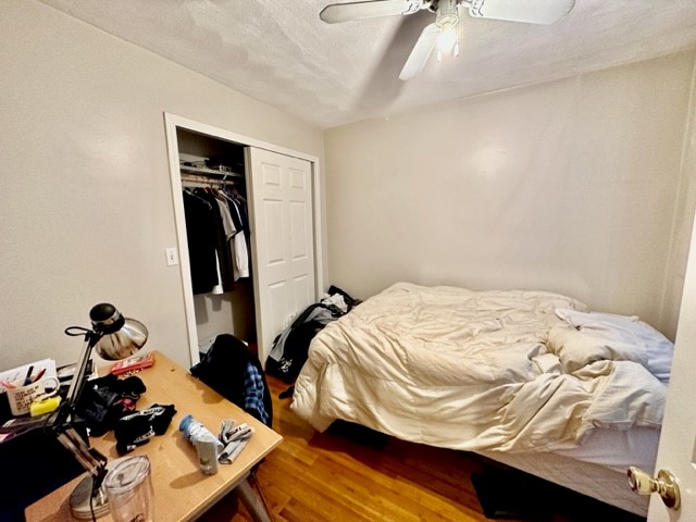 10 Hull St, North End