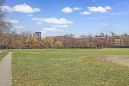 131 Freeman St, Coolidge Corner