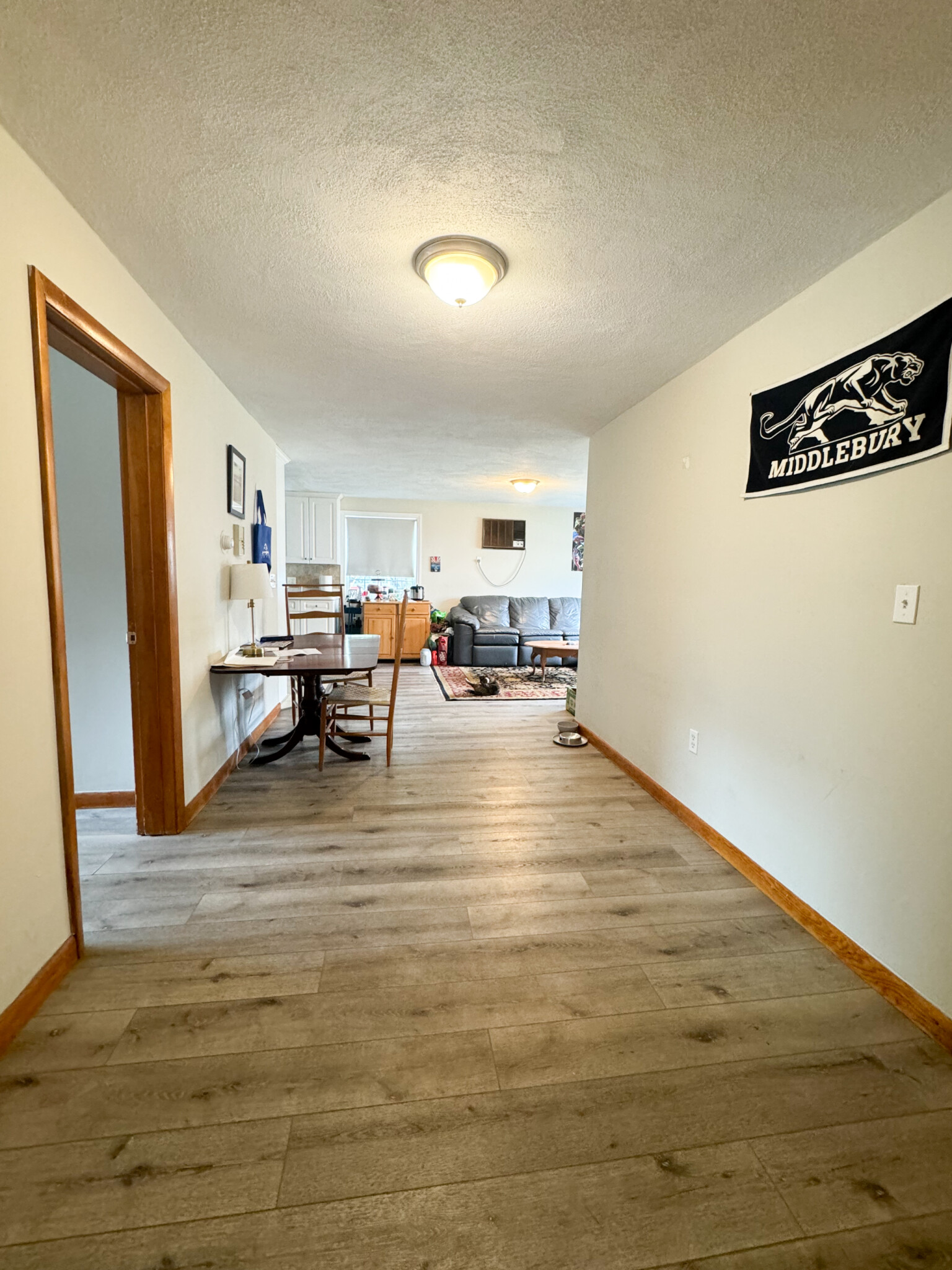 17 Adamson St, Lower Allston