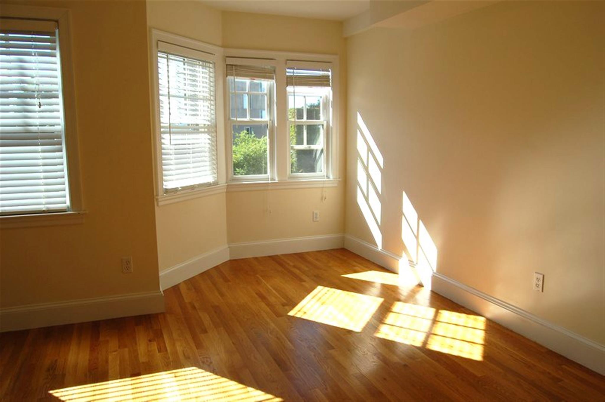 32 Elmer St, Harvard Square