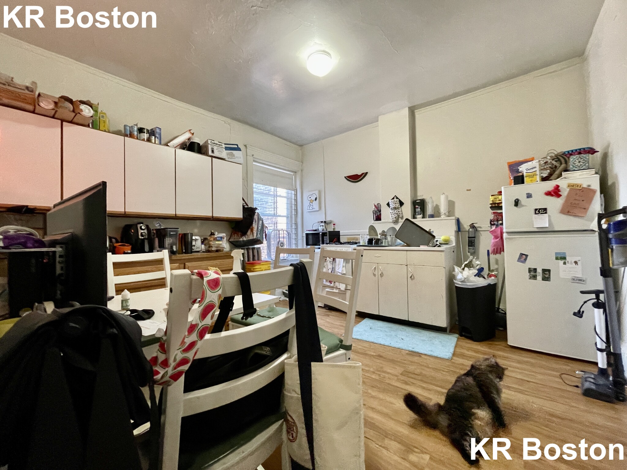 1377 Commonwealths Ave, Allston