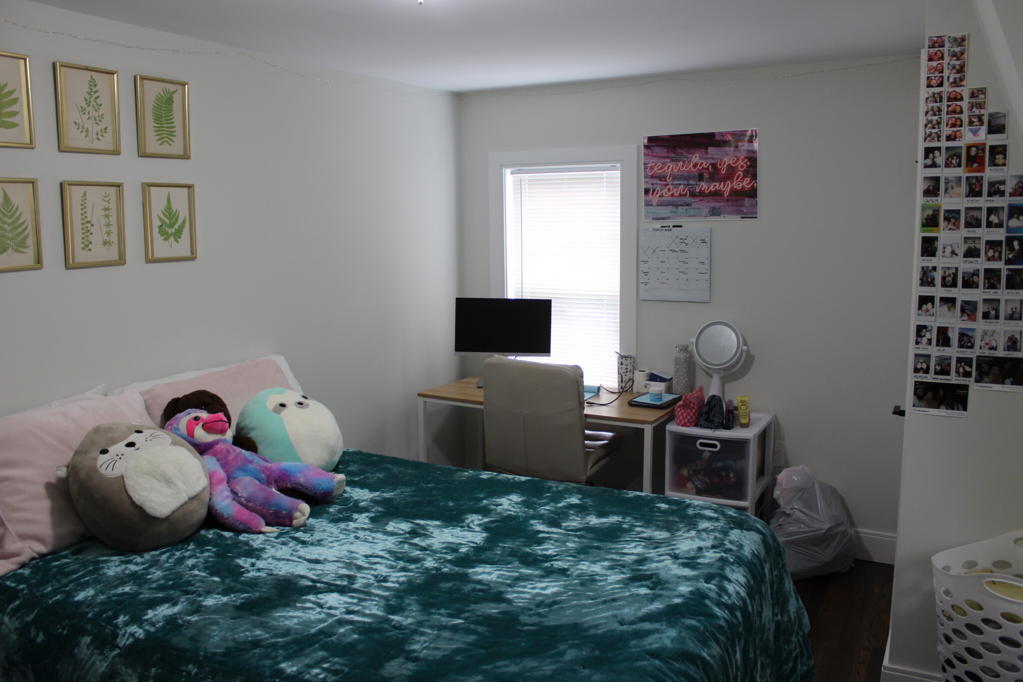 15 Pomeroy St, Allston