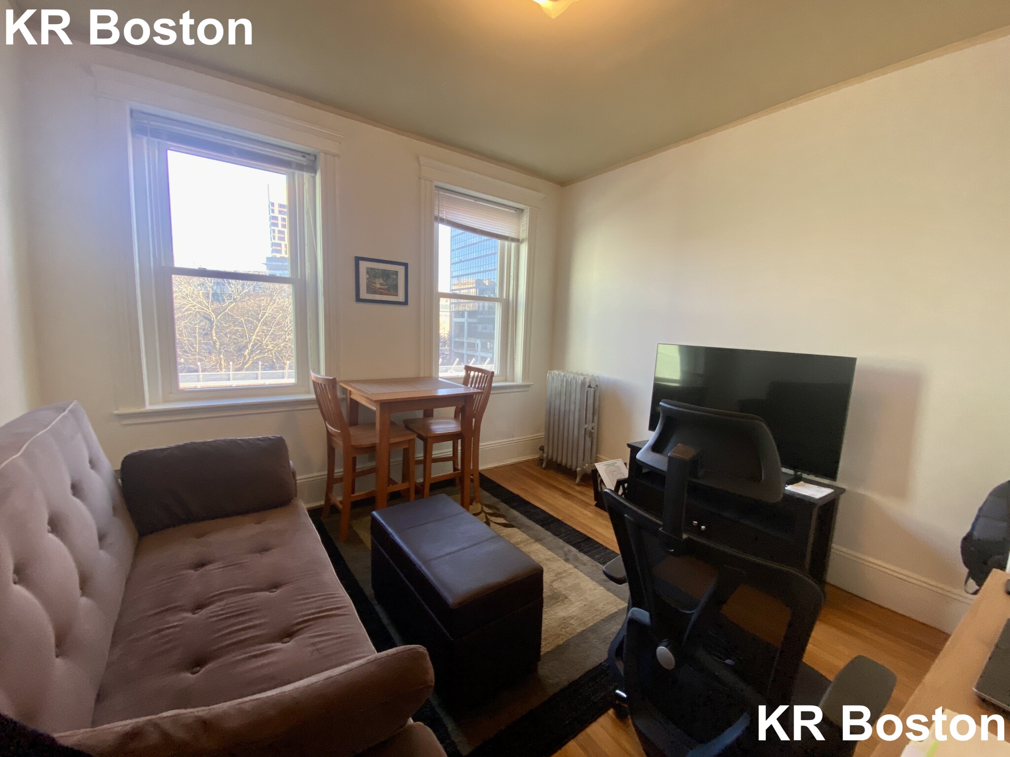 14 Palace Rd, Fenway