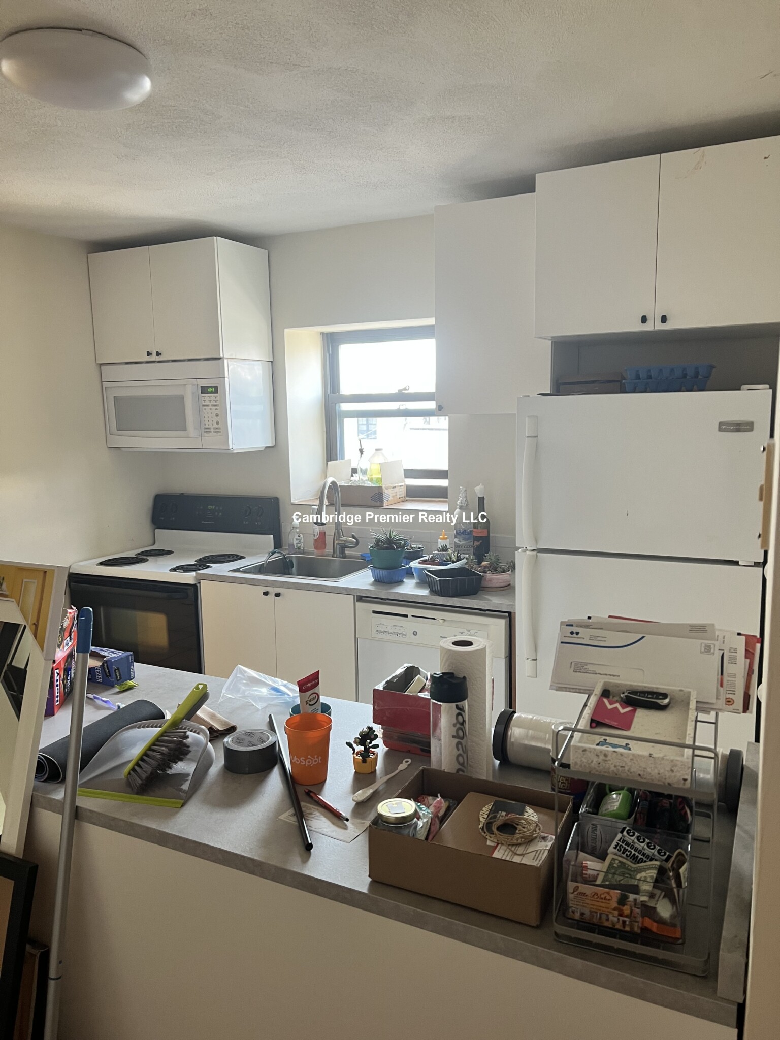 14 Spring St, Spring Hill