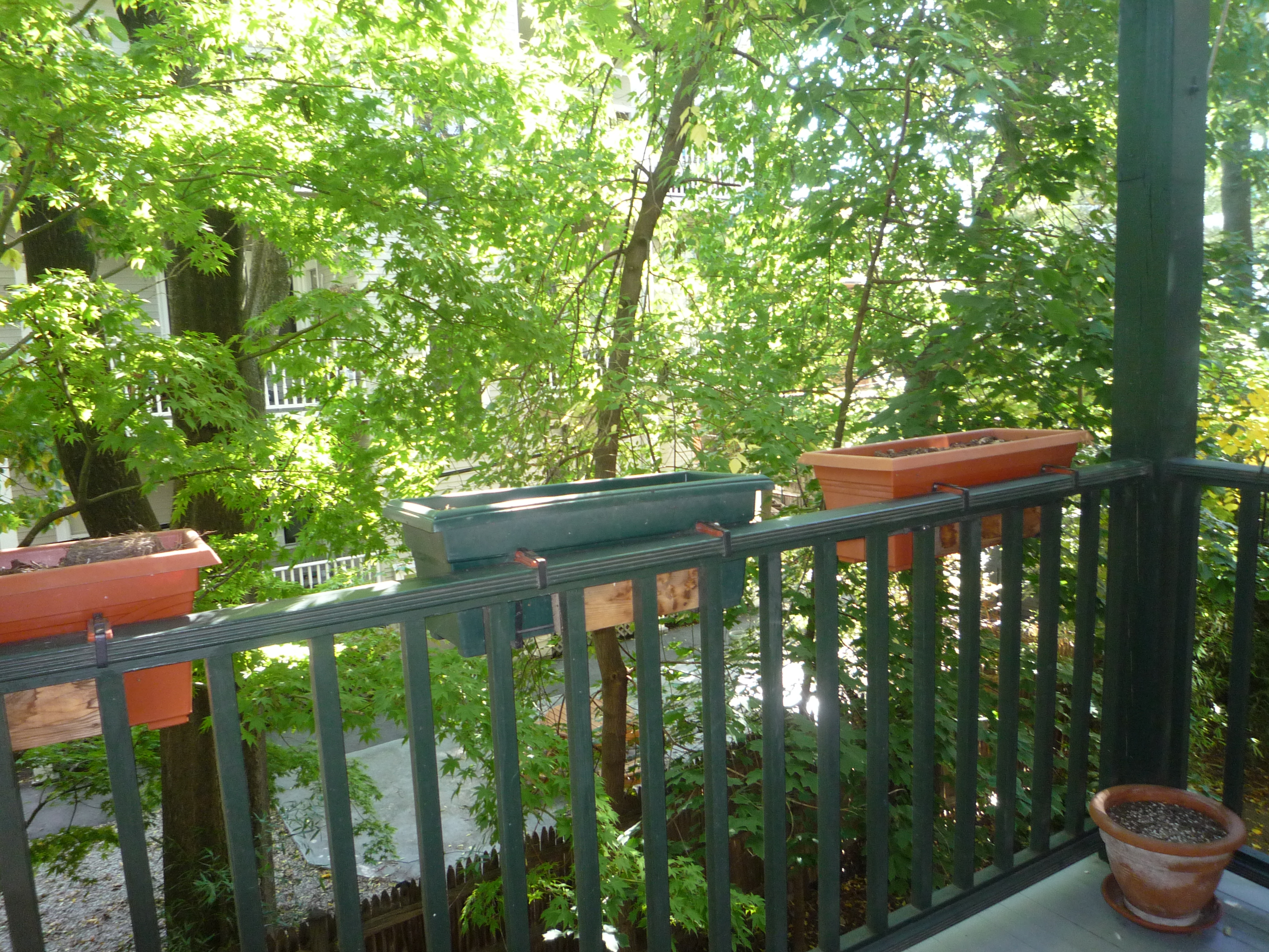 12 Remington St, Harvard Square