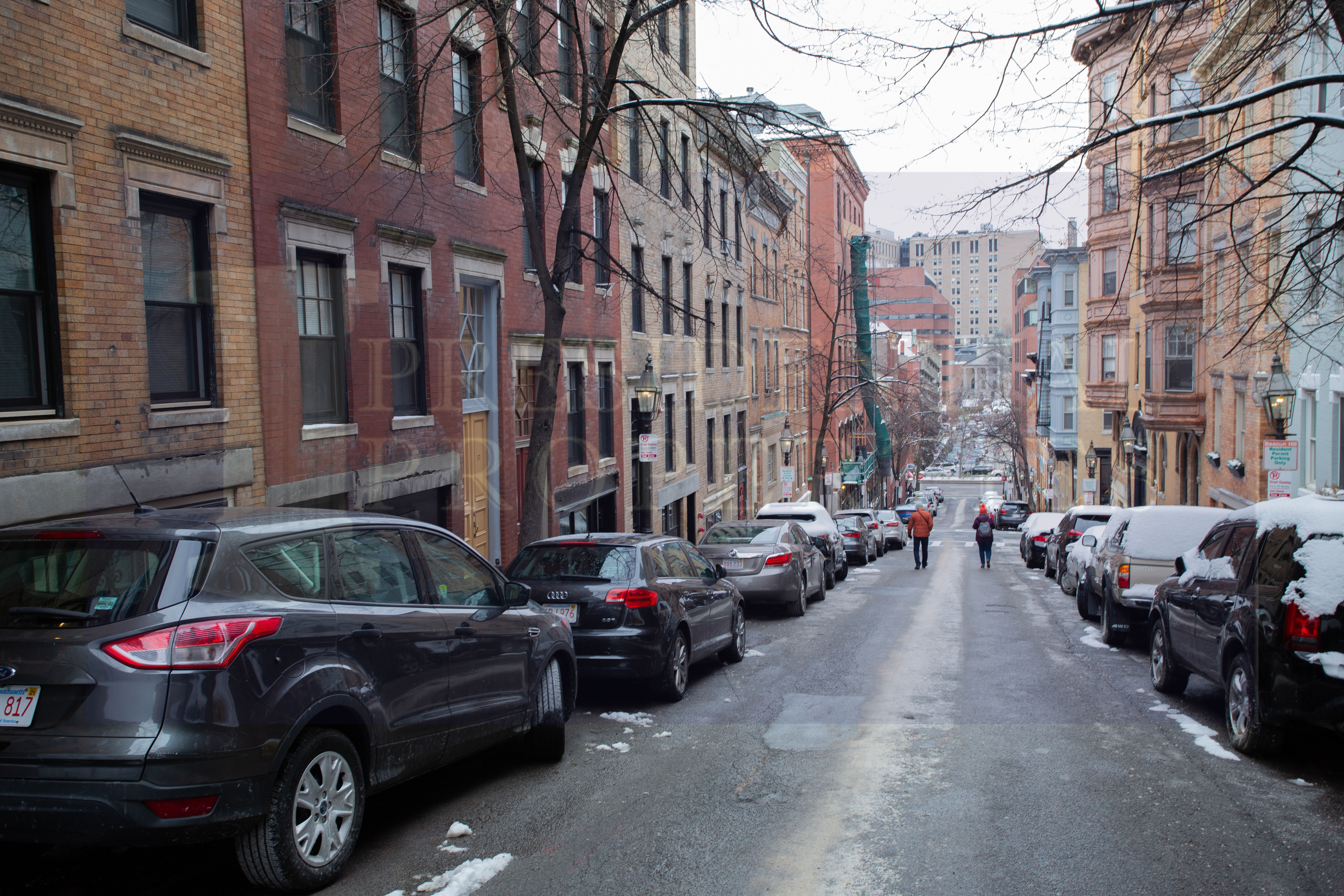 41 Anderson St, Beacon Hill