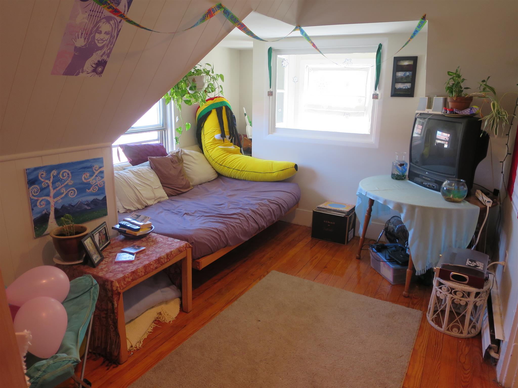 7 Putnam St, Prospect Hill