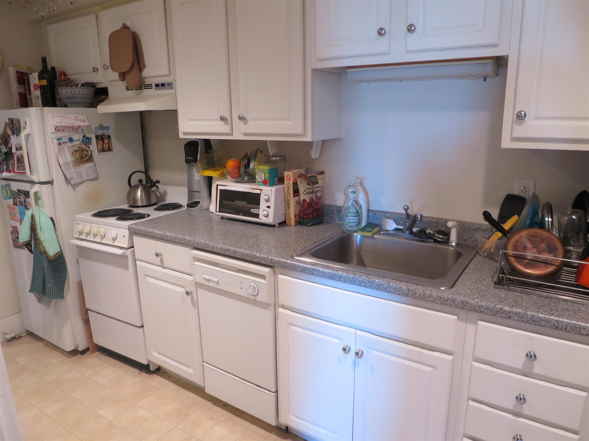 7 Putnam St, Prospect Hill