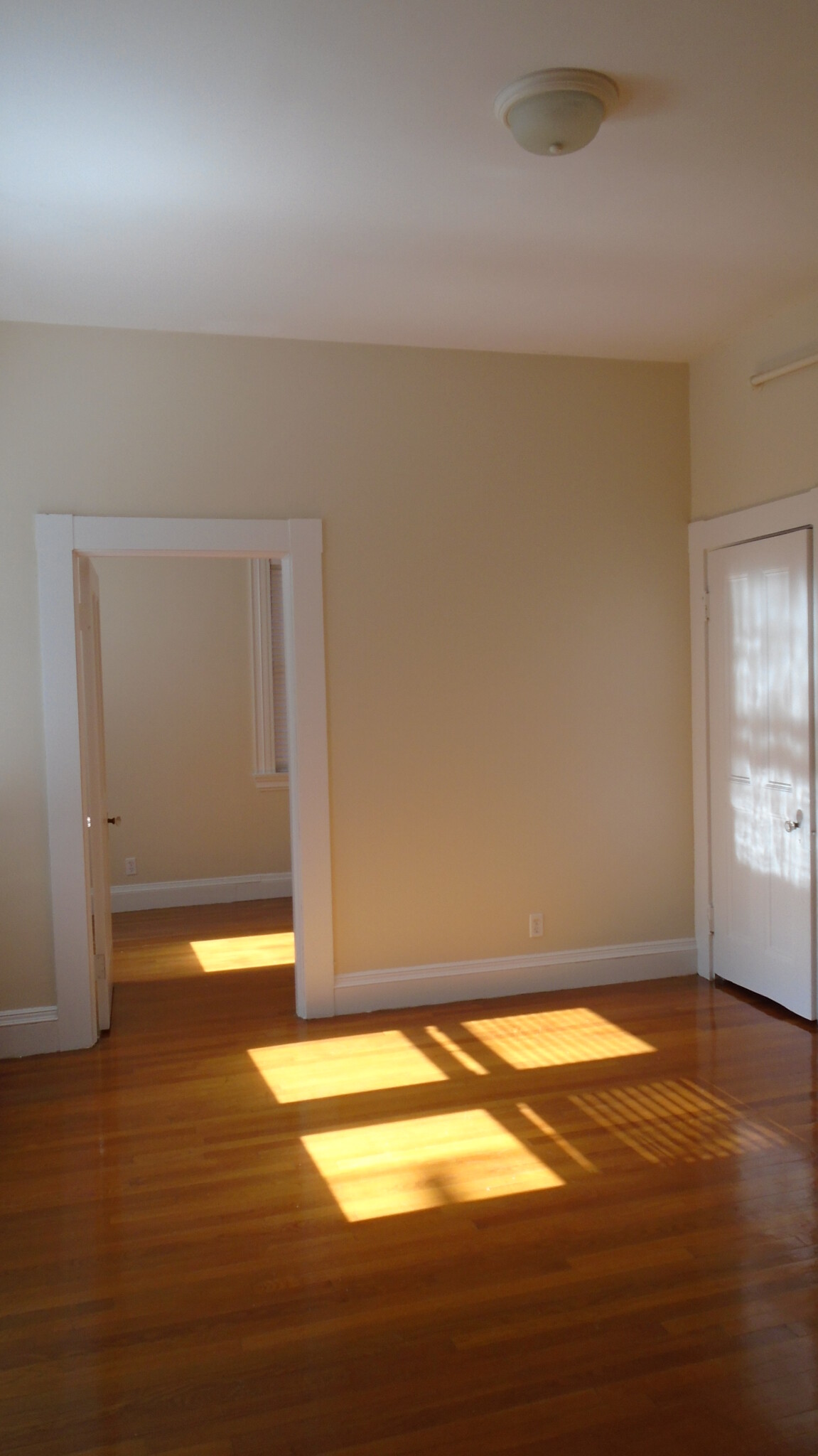 1470 Beacon St', Coolidge Corner