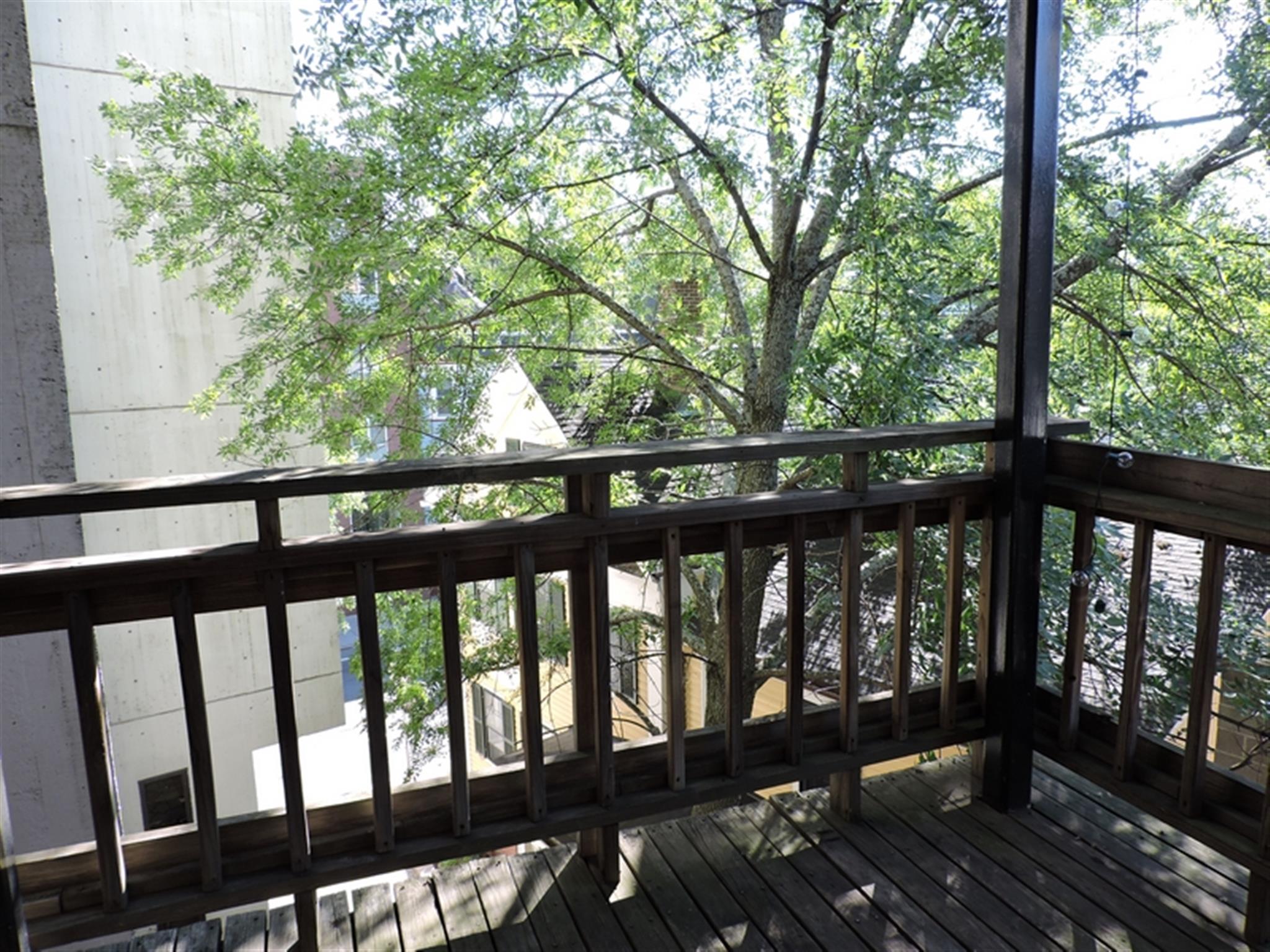 1110 Massachusetts Ave, Harvard Square