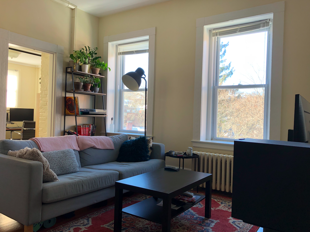 1477 Beacon St, Washington Square