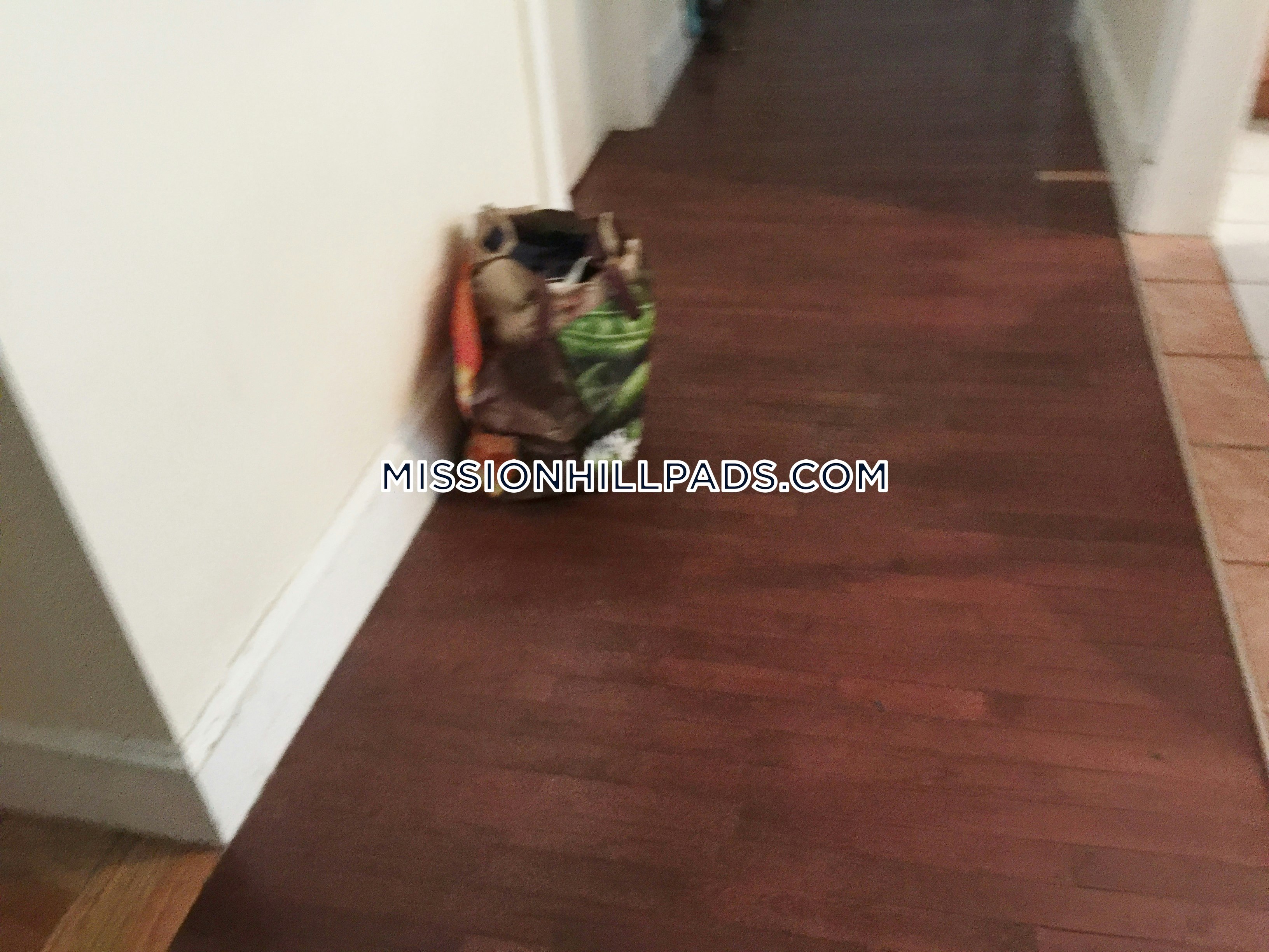 1 Sachem St, Mission Hill