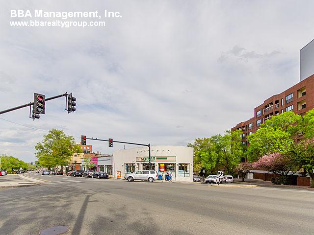 94A Marion St, Griggs Park