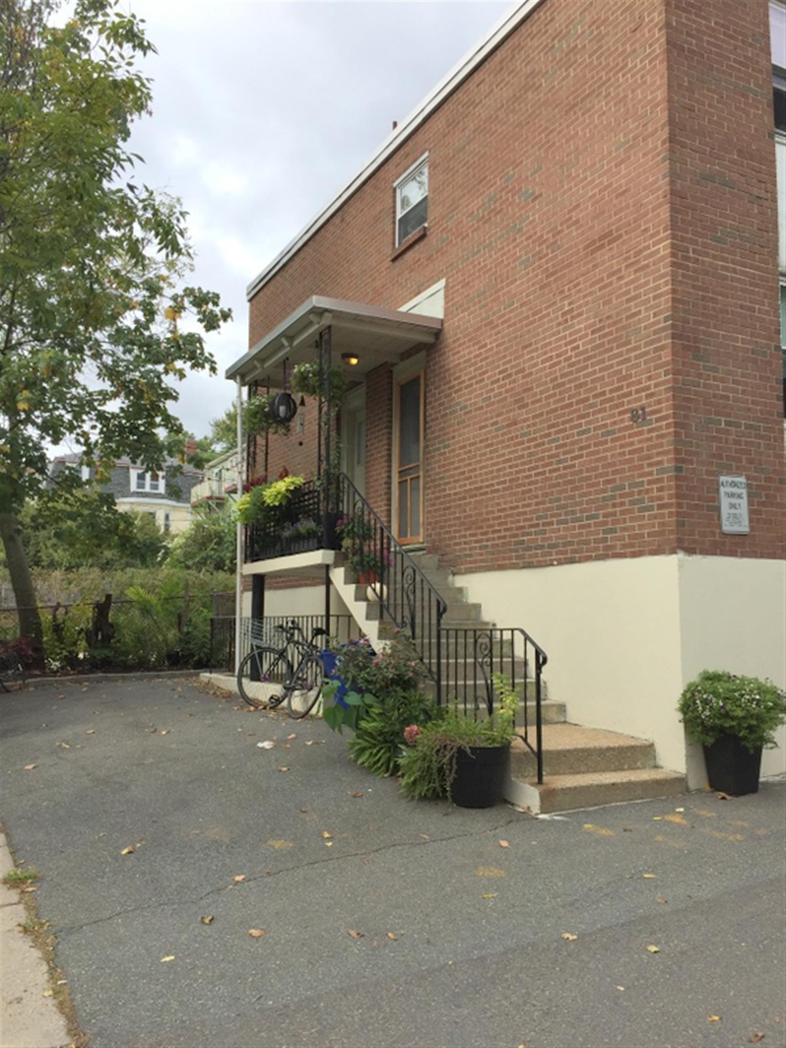 81 Summer St, Spring Hill