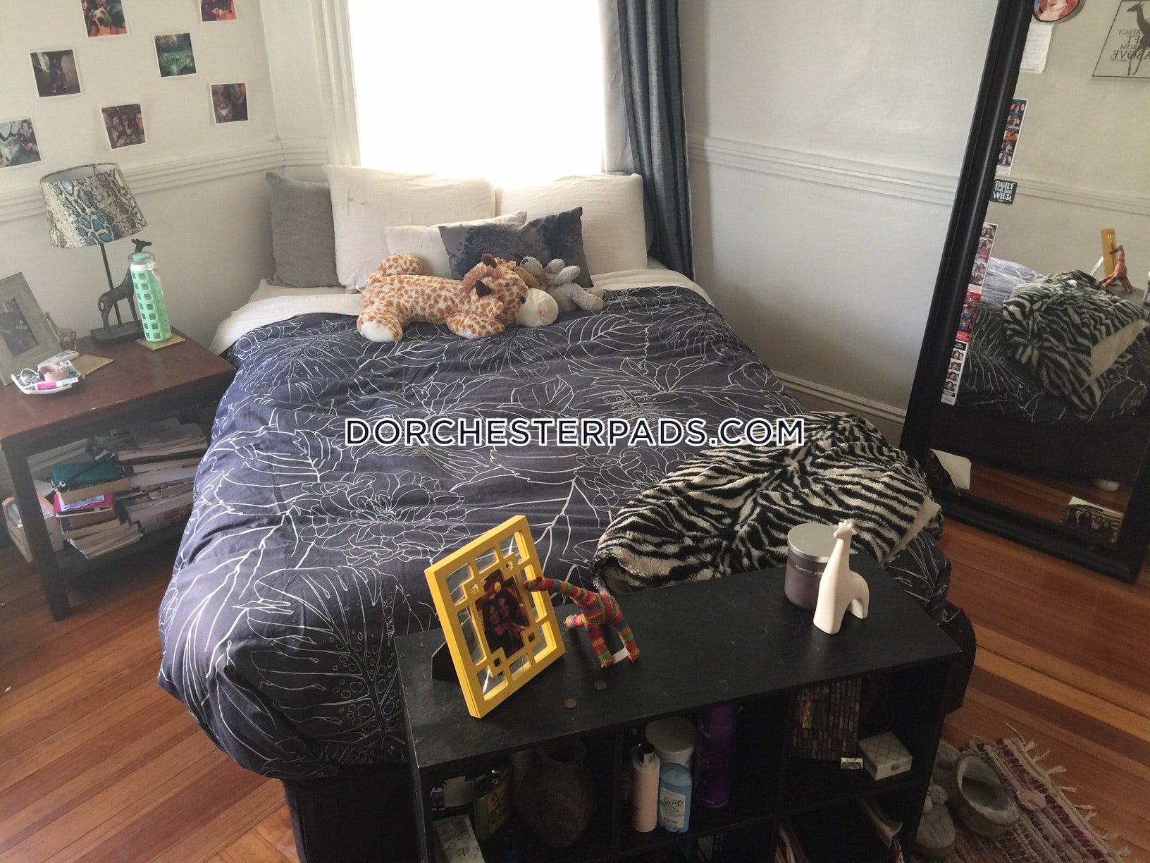 74 Romsey St, Dorchester