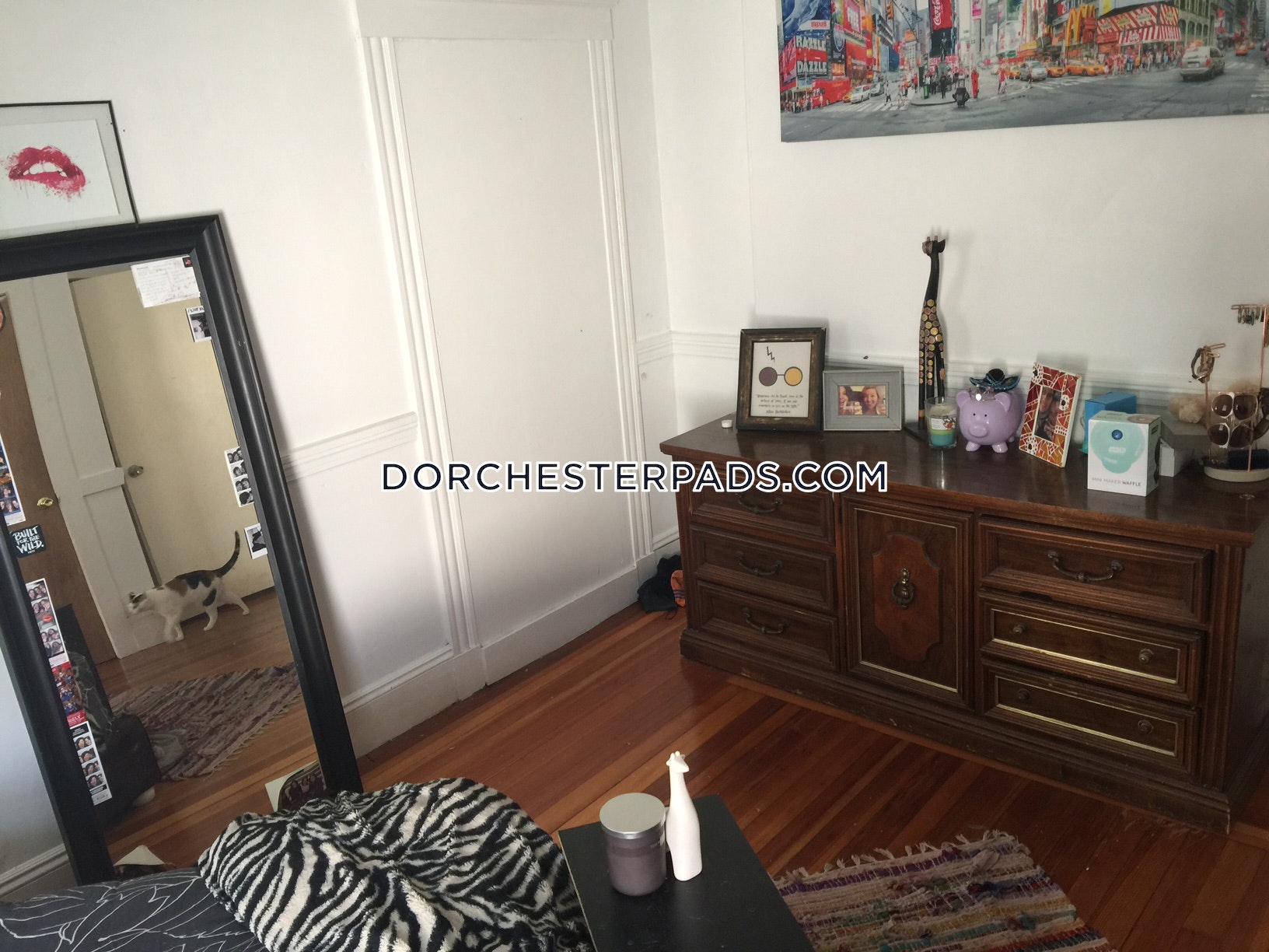 74 Romsey St, Dorchester