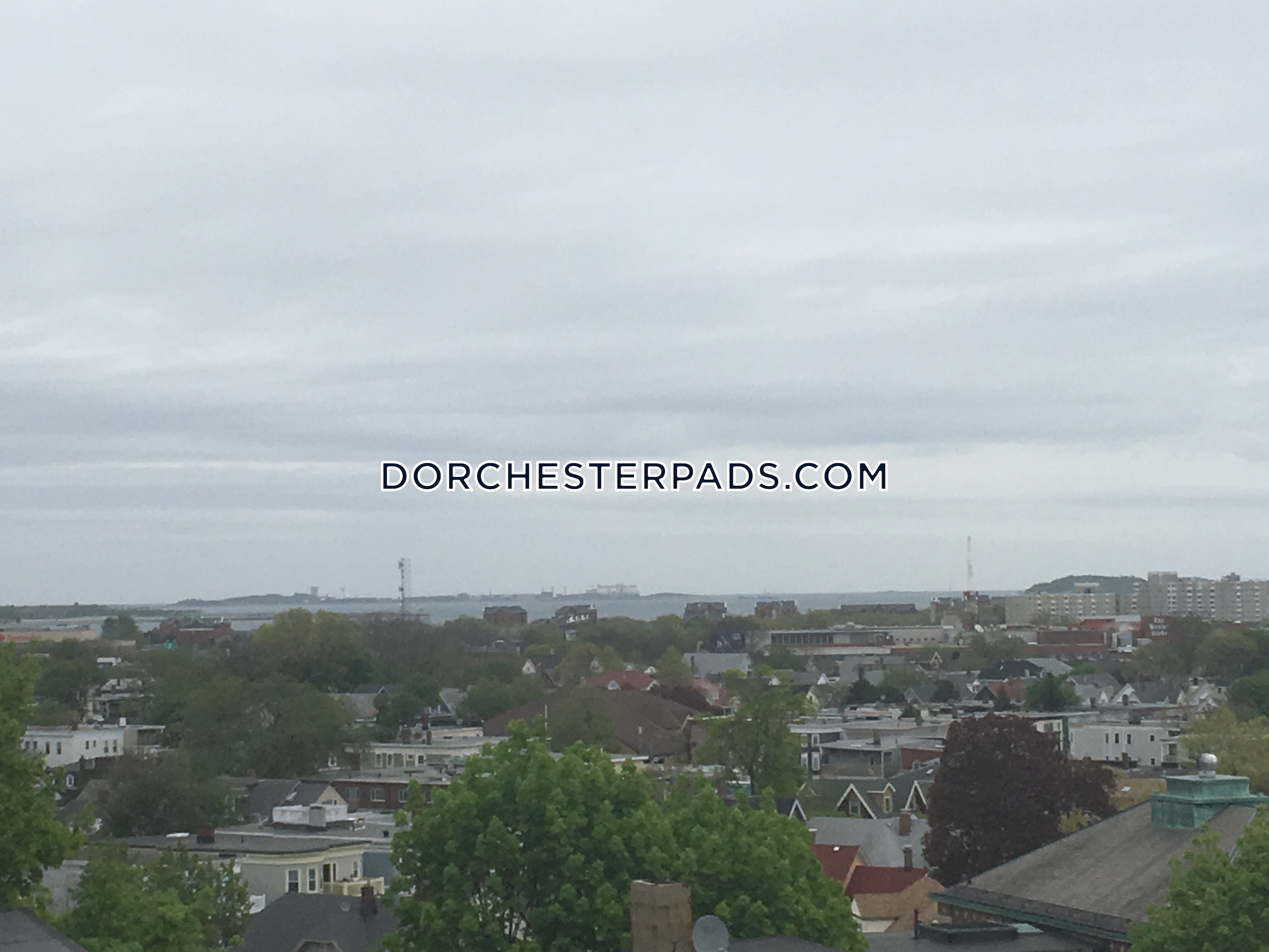 19 Peverell St, Dorchester