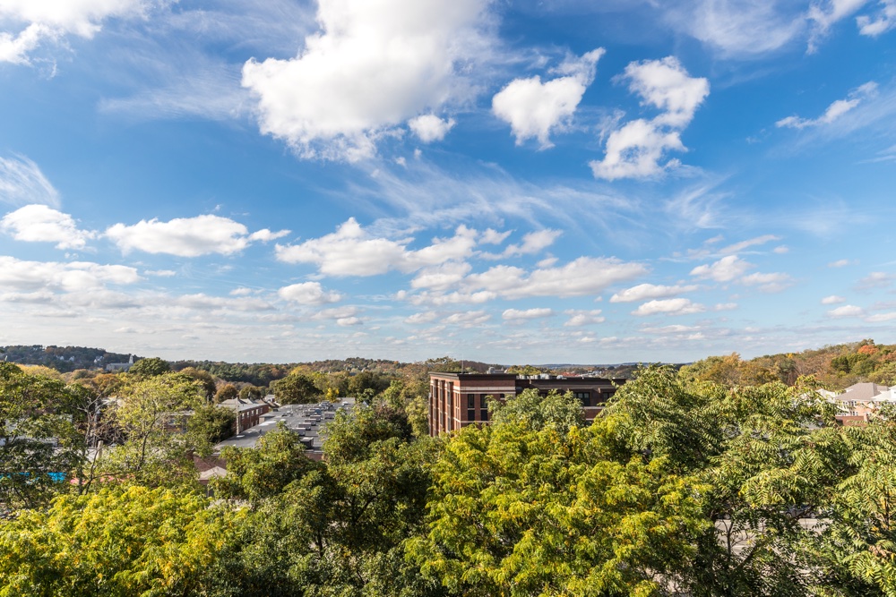 150 Chestnut Hill Ave, Brighton