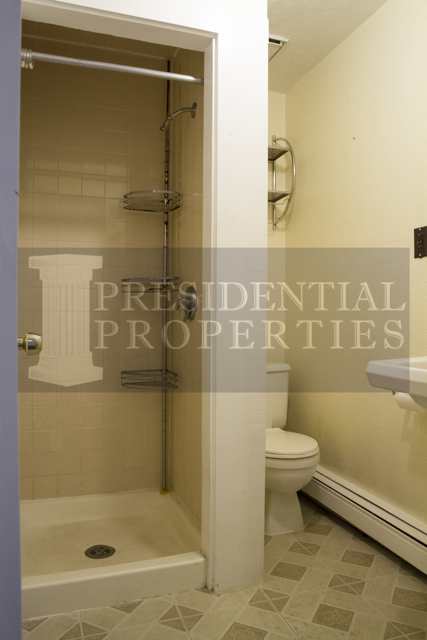 41 Anderson St, Beacon Hill