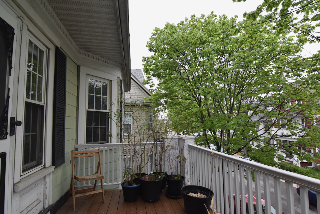 15 Penhallow St, Dorchester