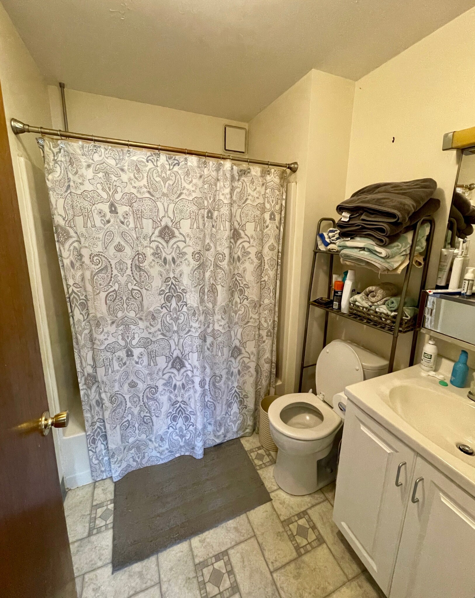 15 Stearns Rd, Coolidge Corner