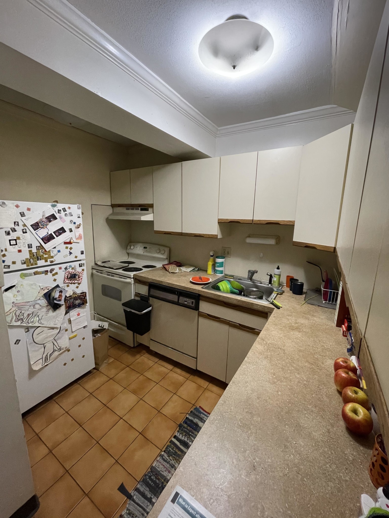 15 Stearns Rd, Longwood