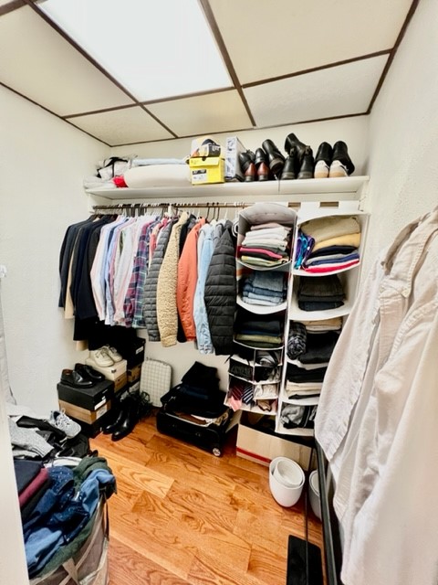 4 Garden Ct, North End