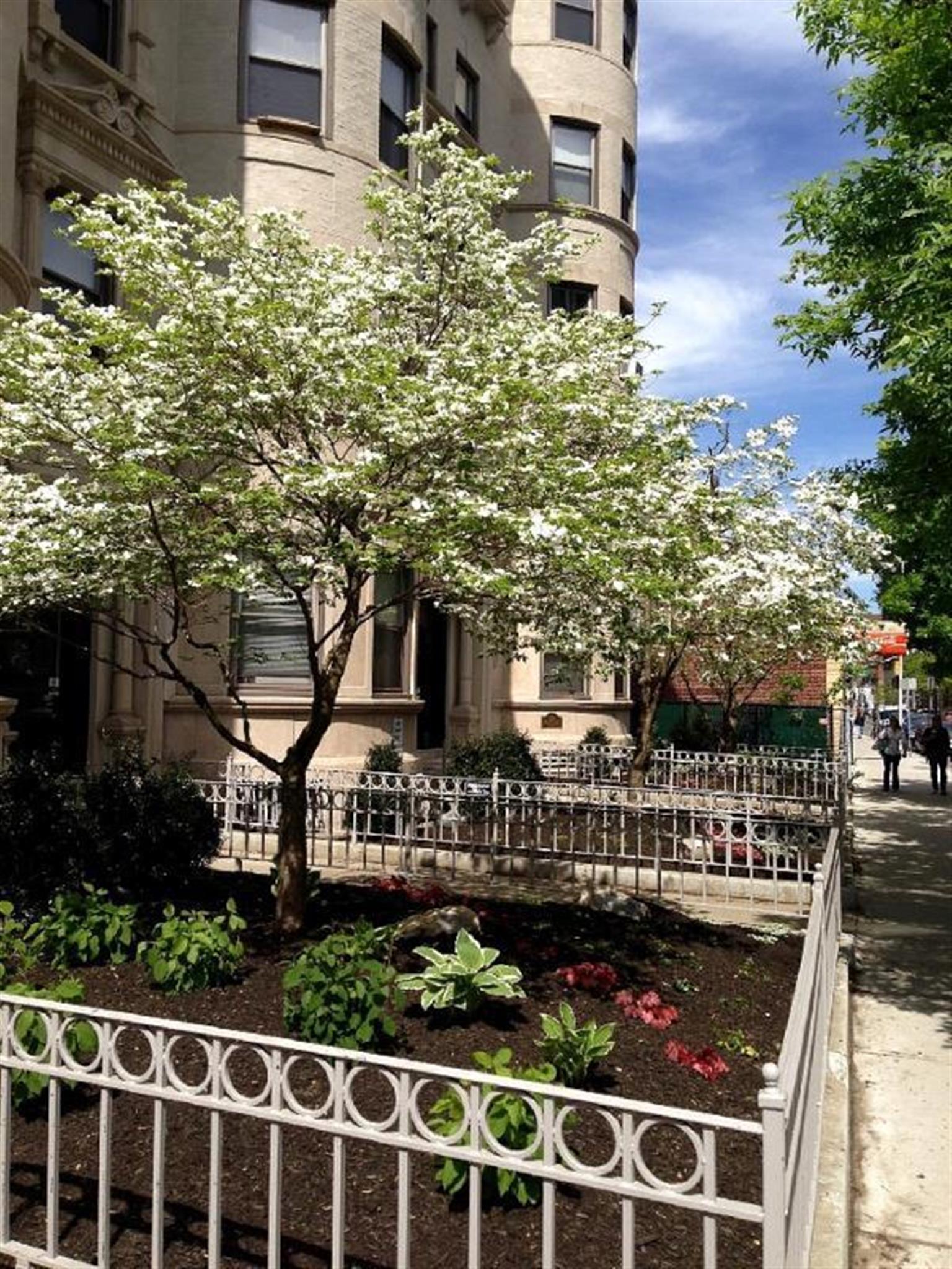 884 Massachusetts Ave, Central Square