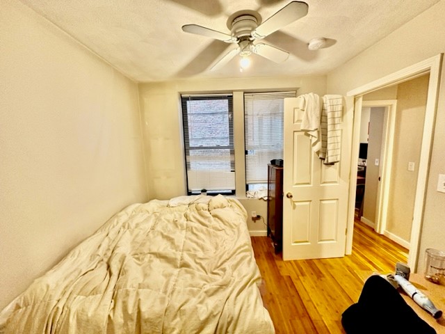 10 Hull St, North End