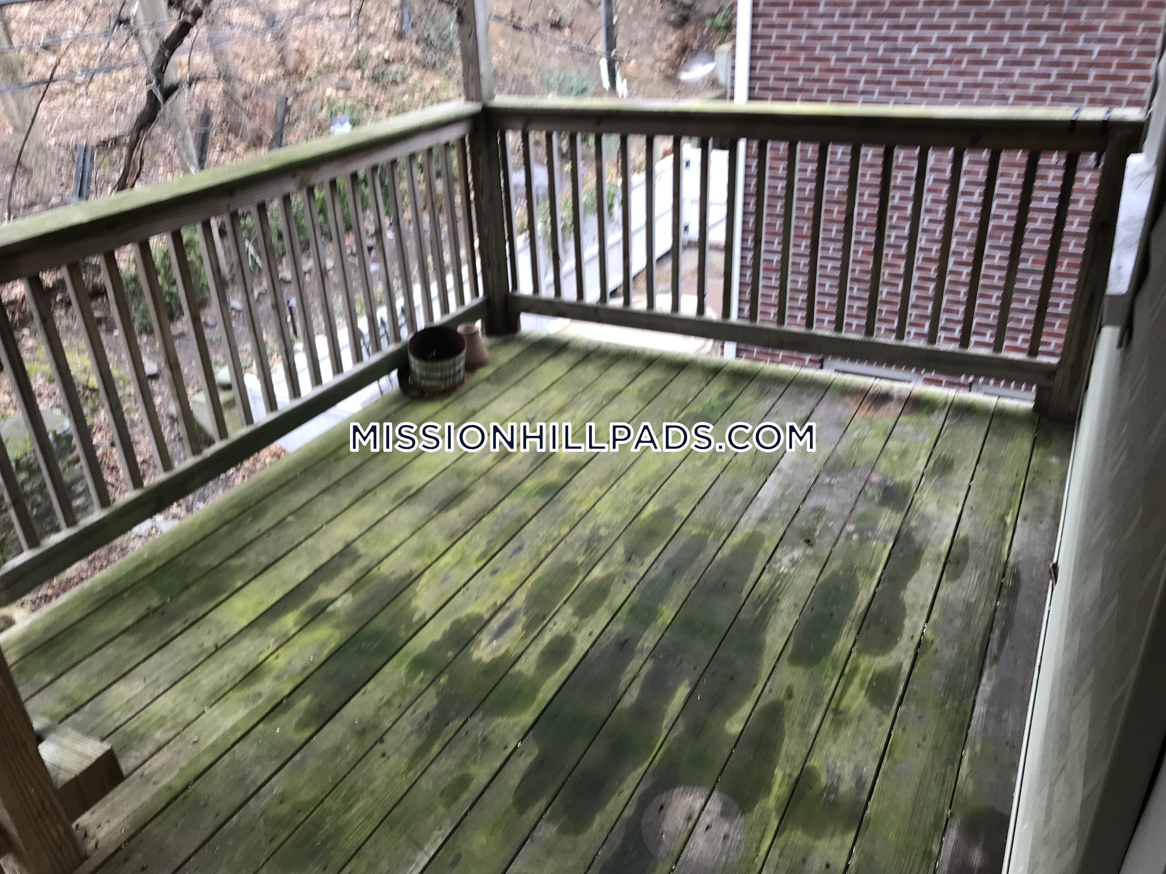 20 Sachem St, Mission Hill