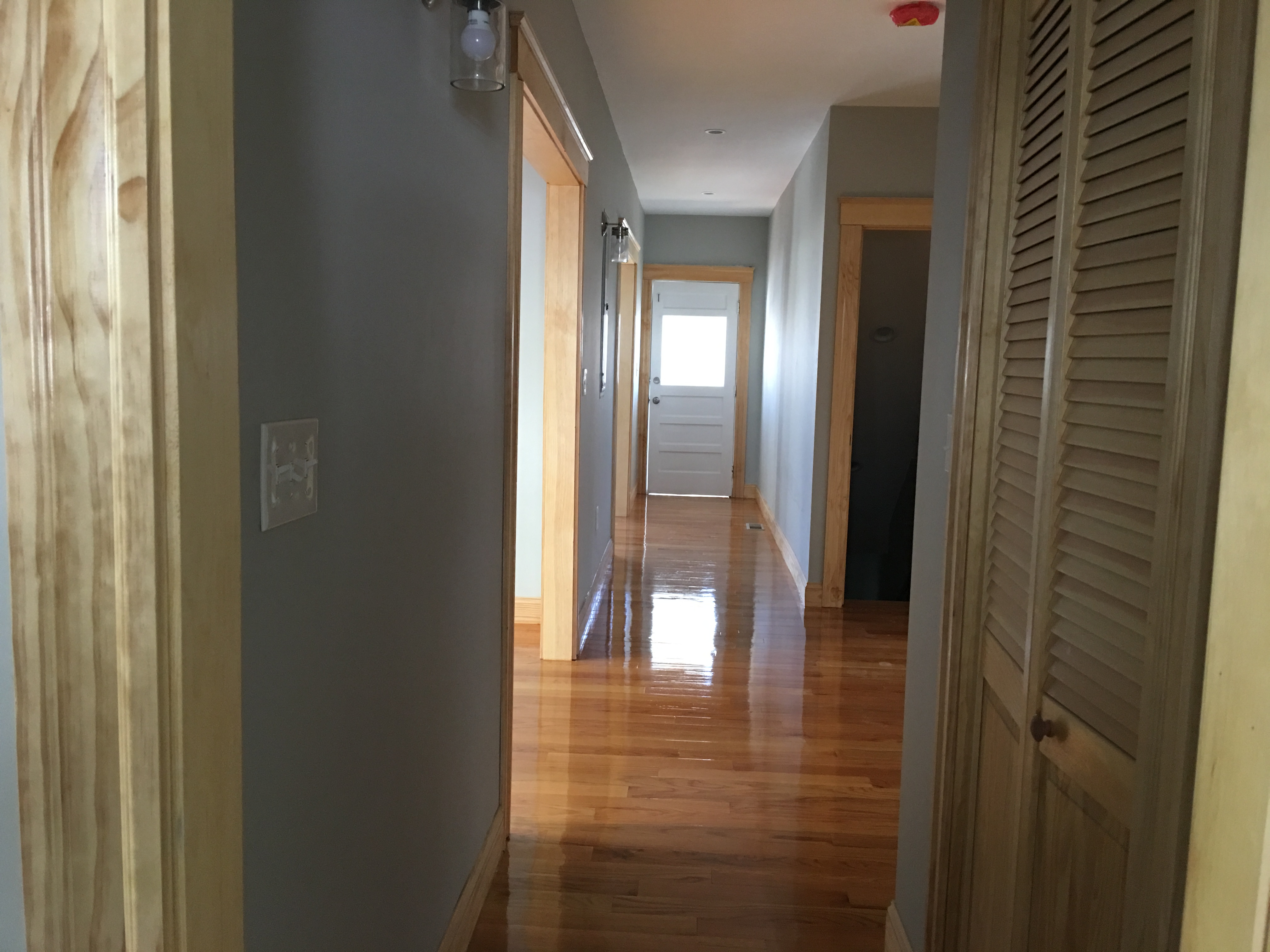 152 Winchester St, West End