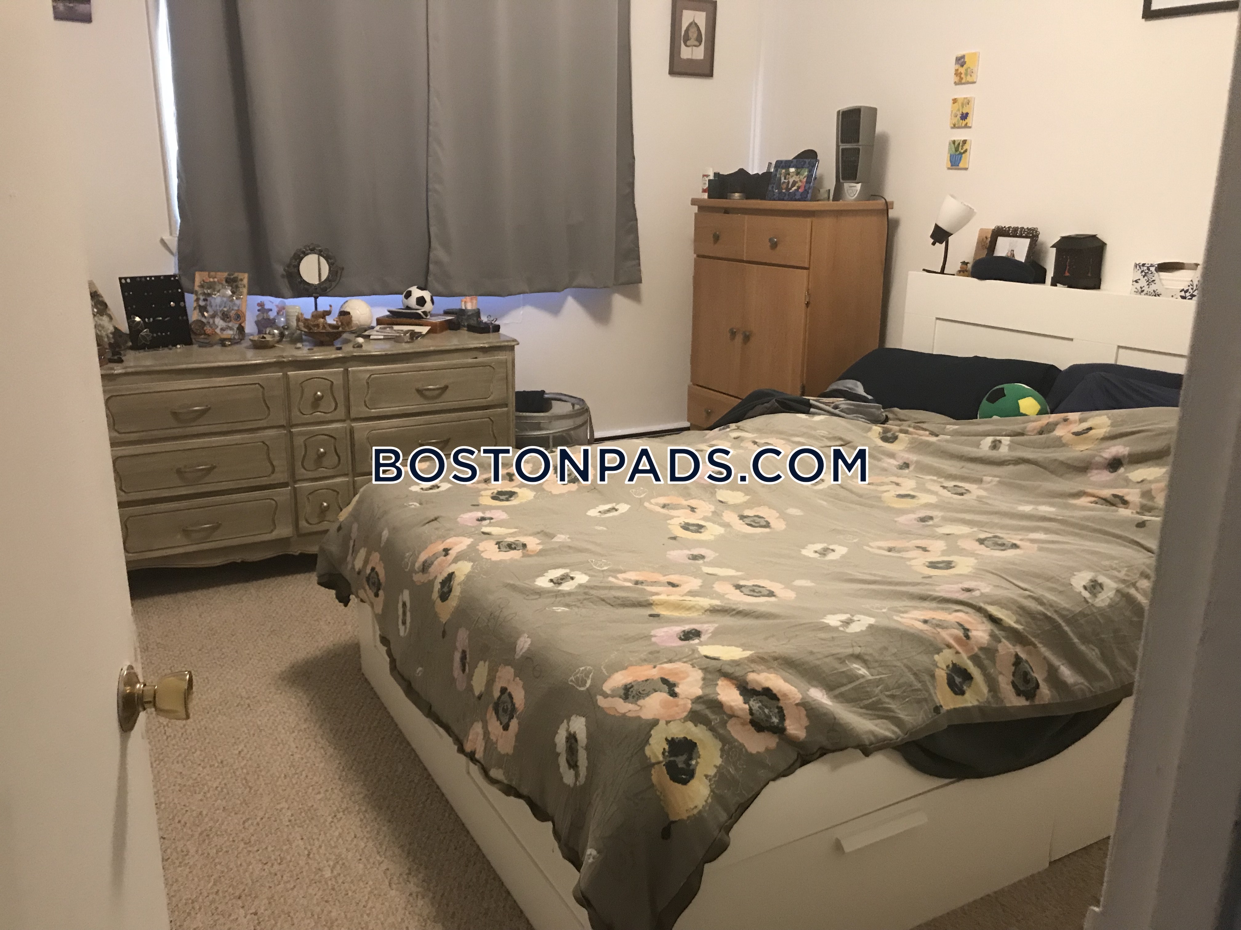 50 Evergreen St, Jamaica Plain